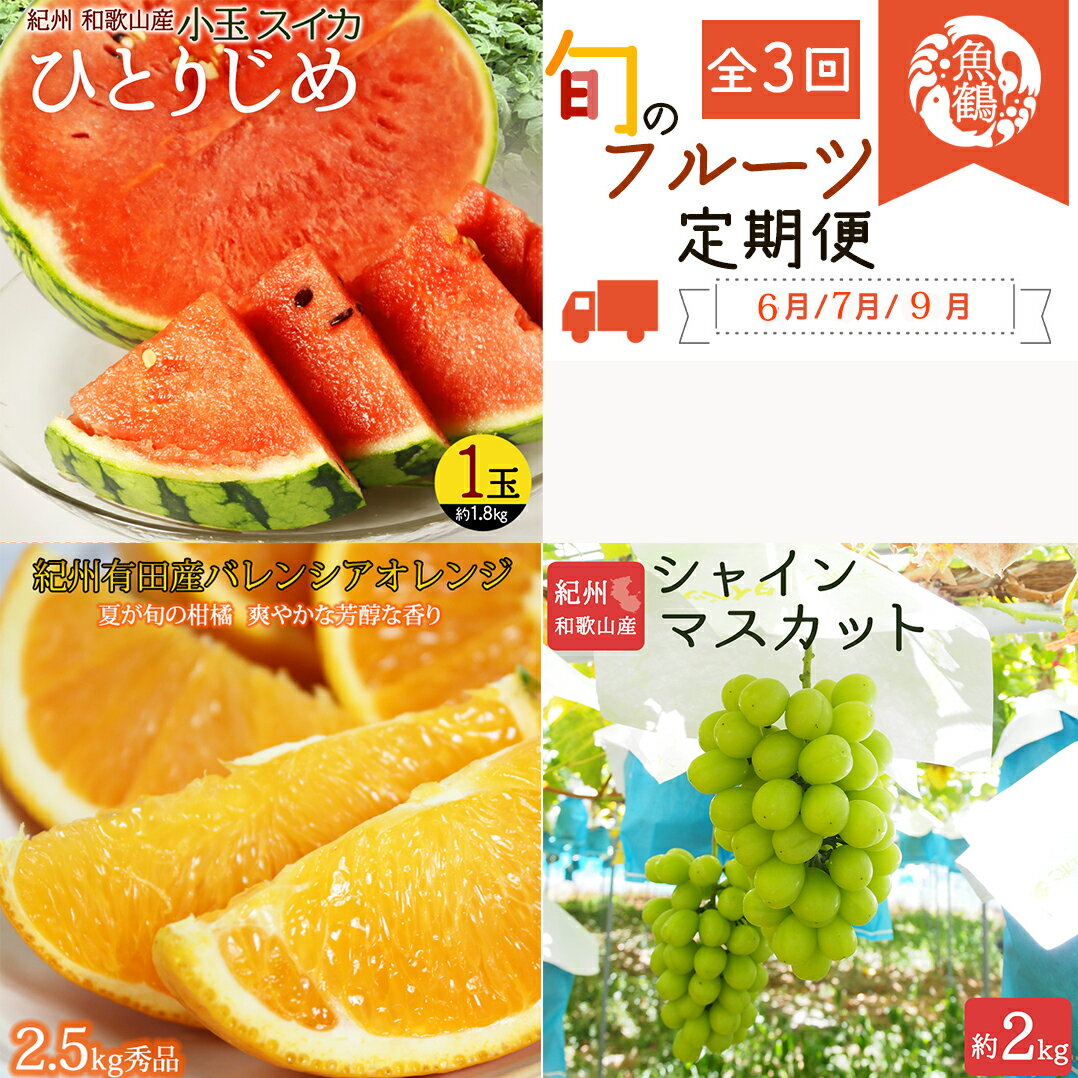 【ふるさと納税】【全3回】 紀州和歌山産旬のフルーツセット (スイカ・バレンシア・シャイン) / 定期便 フルーツ フルーツ定期便 おすすめ 和歌山 果物 くだもの