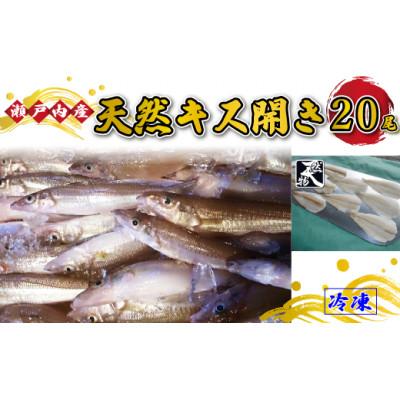 ふるさと納税 宇部市 天然キス(キスゴ開き) 瀬戸内産 20尾