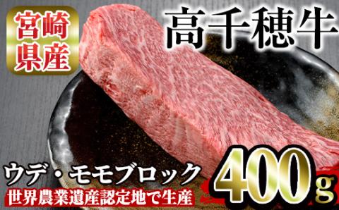 高千穂牛 ウデ・モモブロック(400g)【MT007】【JAみやざき 高千穂牛ミートセンター】