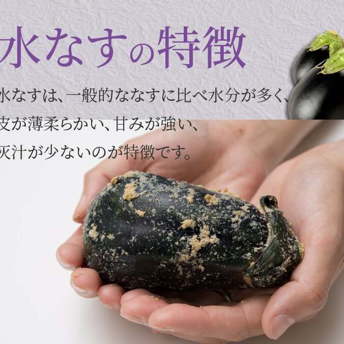 【お中元】特選水なす浅漬け＆生なす 5個入り 010B1649t