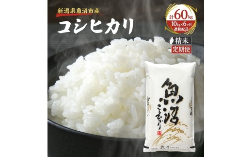 
                  【定期便：雪国逸品 精米10kg×6ヶ月】越後魚沼郷 魚沼産コシヒカリ お米 人 自然調和 ミネラル 奇跡 自然環境 努カ 香り つや 粘り 極上 
                