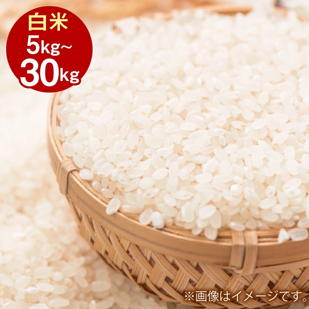【ふるさと納税】令和7年産 きぬむすめ (白米) 5kg 10kg 20kg 30kg 選べる 容量 岡山県産 白米 米 お米 倉敷市【2025年10月上旬より発送開始】