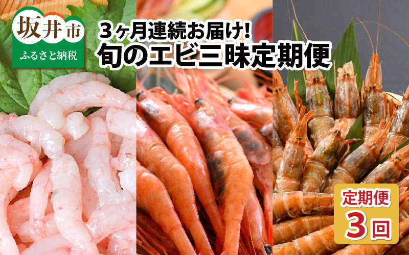 
                  【先行予約】定期便 ≪3ヶ月連続お届け≫ 旬のエビ三昧定期便 【2027年4月以降順次発送予定】【甘海老 甘エビ あまえび 剥きエビ ガサエビ エビ 刺身 焼き 鍋 新鮮 冷凍 産地直送】 [C-8503]
                