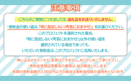 【山梨県昭和町】昭和町立図書館応援寄附金＜1,000円＞※返礼品なし　SW002-1
