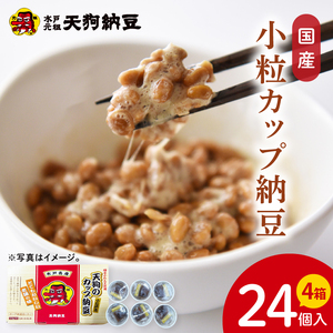 【天狗納豆】国産小粒カップ納豆（50ｇ×6個）×4箱（DQ-17）