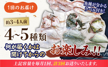 【全3回定期便】【平戸市場直送】旬の獲れたて鮮魚（冷凍）＜4-5種類＞ 平戸市 / ひらど新鮮市場[KAB228]
