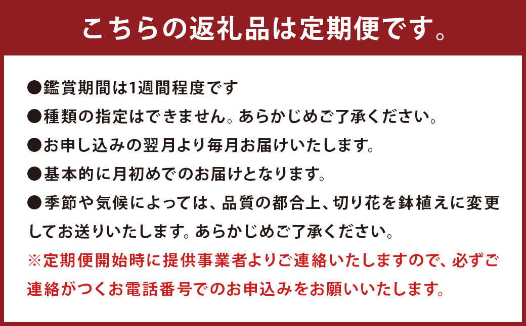【定期便】お花の定期便シリーズ「毎月」届く 旬のお花 12回 1年間 フラワーアレンジメント