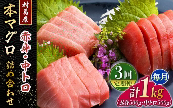 
            【全3回定期便】対馬産 本マグロ 1kg（赤身500g、中トロ500g） ≪対馬市≫【桐谷商店】 トロの華 対馬 新鮮 マグロ トロ 鮪 刺身 鮮度抜群 [WAQ052]
          
