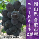 【ふるさと納税】 ぶどう 2025年 先行予約 ニュー ピオーネ 2房（1房650g前後） 産地直送 ブドウ 葡萄 岡山県産 国産 フルーツ 果物 ギフト たけまさぶどう園　果物・ぶどう・フルーツ　お届け：2025年7月中旬～2025年9月中旬