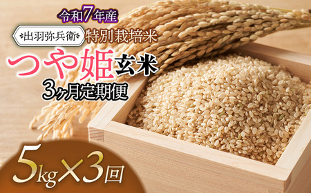 【令和7年産】【定期便3ヶ月】特別栽培米 つや姫 【玄米】 5kg×3ヶ月　山形県鶴岡市産　出羽弥兵衛