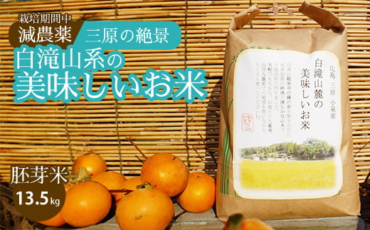 
            ≪栽培期間中減農薬≫ 三原の絶景白滝山系の美味しいお米 胚芽米 13.5kg 瀬戸内ビオファーム ご飯 米 おこめ 002008
          