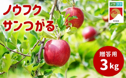 WF01　ノウフクサンつがる 贈答 約3kg / 2026年8月下旬～9月上旬ごろ配送予定 // 長野県 南信州 松川町産 JAS認証 りんご リンゴ 林檎 ノウフク 農福連携 つがる 贈答
