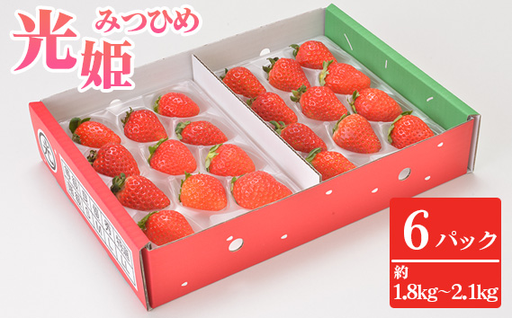 光姫（イチゴ）約1.8kg〜約2.1kg（6パック） ／ 苺 いちご 果物 大阪府 No.271