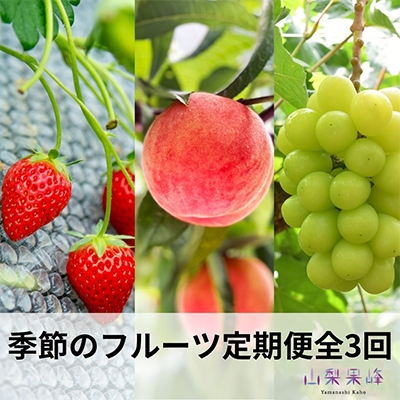 
                  【発送月固定定期便】山梨市産　季節のフルーツ定期便全3回【4069557】
                
