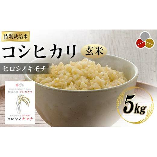特別栽培米 コシヒカリ ヒロシノキモチ 玄米 5kg 陽咲玲 米 お米 コメ ご飯 ごはん 富山県産 富山県 立山町 F6T-522
