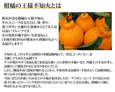 先行予約 訳あり デコみかん 4.5kg【2027年1月中旬-2027年4月下旬発送予定】  家庭用 規格外 フルーツ みかん 果物 果物 旬