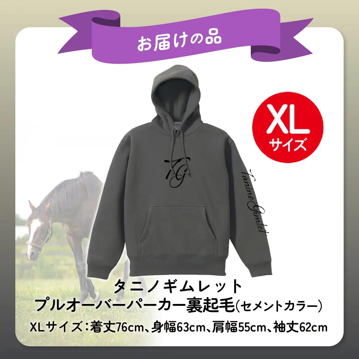 【破壊神タニノギムレット】(セメントカラー）プルオーバーパーカー裏起毛　選べる４サイズ【ＸＬ】 BRTV105-4