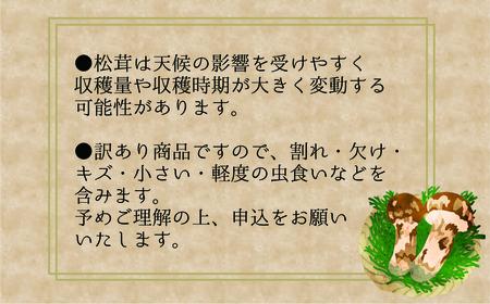 【2616-0485】岡山 花笑み農園 訳あり『松茸』100g