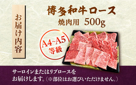 【数量限定 博多和牛】ロース 焼肉用 500g　株式会社チクゼンヤ/桂川町[ADBZ045]