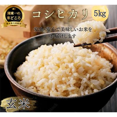 ふるさと納税 大田原市 【令和7年産新米 数量限定】古谷農産 栽培期間中農薬・化学肥料不使用 コシヒカリ 玄米 5kg