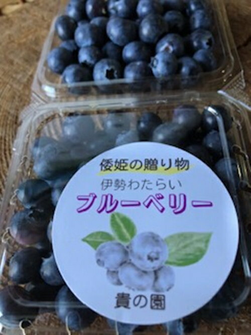 【ふるさと納税】（冷凍） 三重県度会町産の有機栽培 自然の恵みを受け甘く育った ブルーベリー 500g ／ 貴の園 フルーツ 果物 国産 三重県 度会町