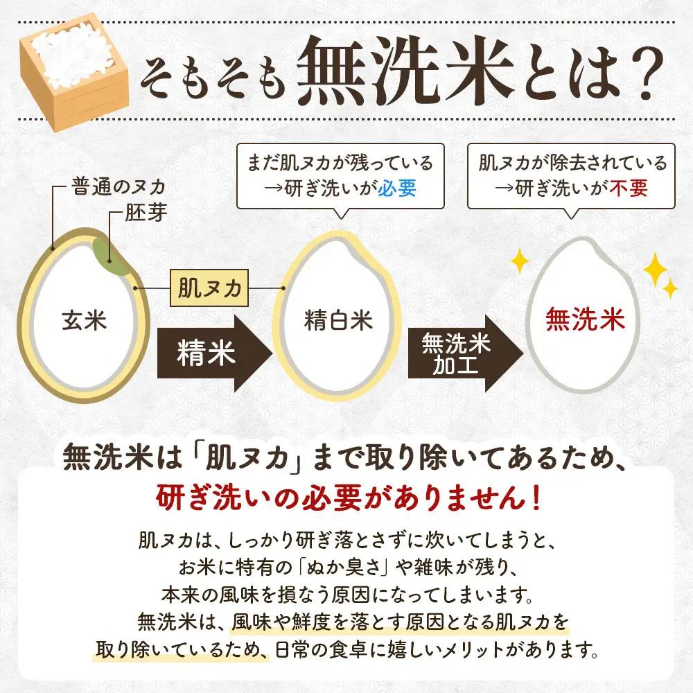 【令和7年産】ひとめぼれ 無洗米 5kg ｜ ひとめぼれ