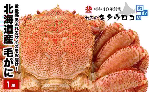 C-25025【12/21まで年内配送】 毛がに800g～1kg