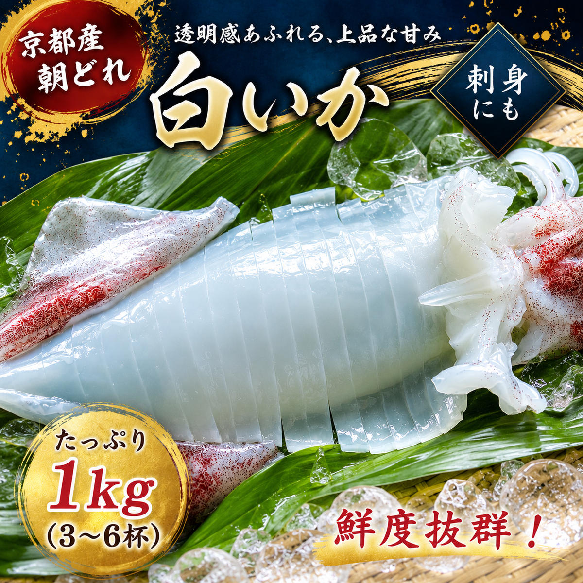 朝どれ 白いか 1kg（3～6杯）【 京都産 刺身 OK】[ イカ 剣先イカ 肴 人気返礼品 ]