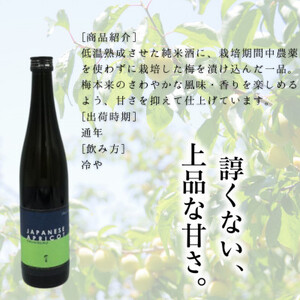 自然郷 梅酒 500ml 1本【1586821】