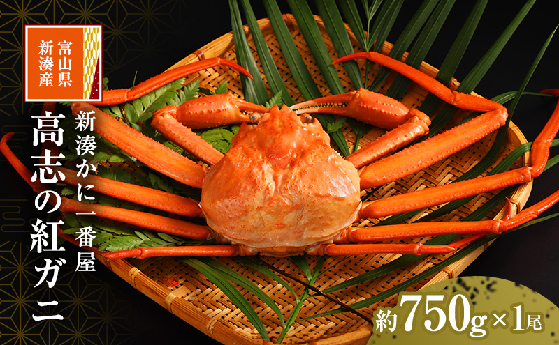 
[№5683-0665]新湊かに一番屋【お薦め】高志の紅ガニ750g ズワイガニ 紅ずわいがに カニ 蟹 富山県 射水市
