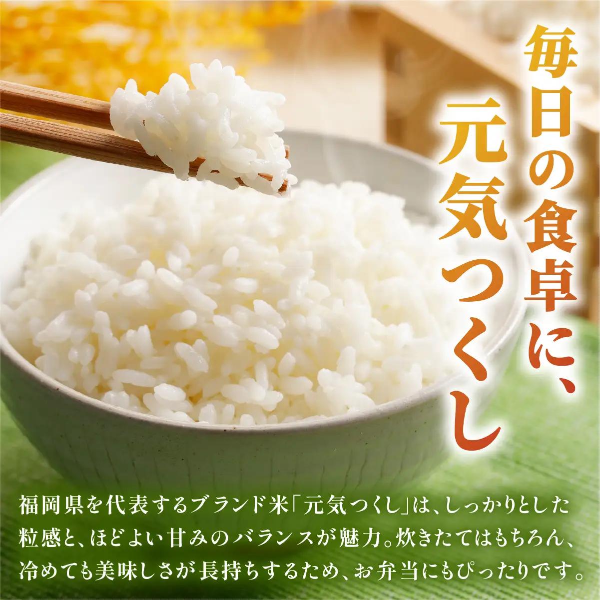 令和7年産 福岡県産元気つくし 15kg