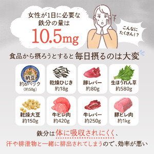 鉄分 サプリ ルミエル 鉄 10mg フェリチン鉄 ヘム鉄 葉酸 栄養機能食品 3袋（3ヶ月分）