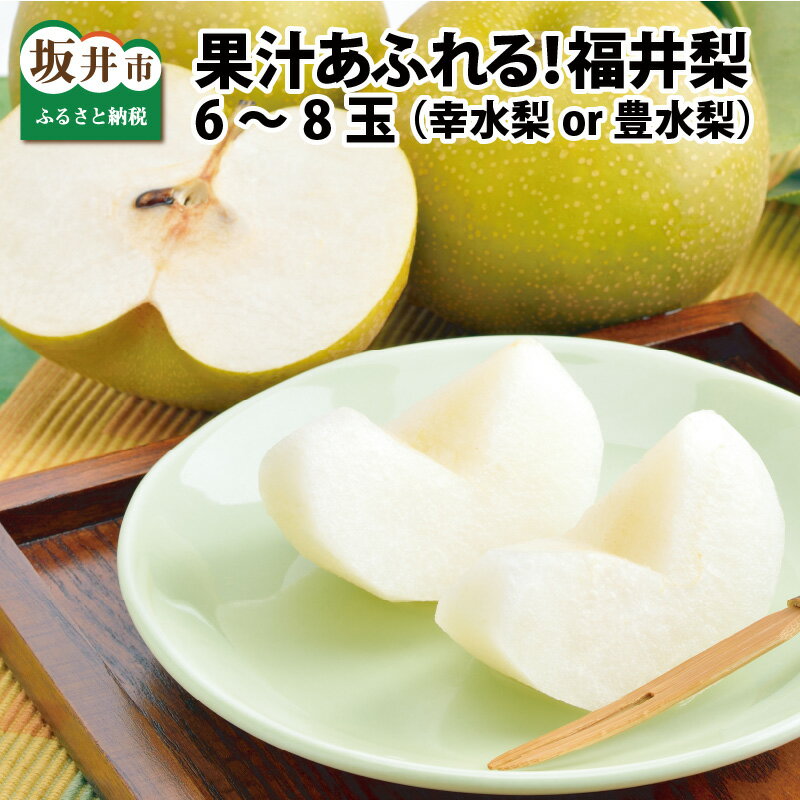 【ふるさと納税】【先行予約】「福井梨」6～8玉 シャキっとした食感♪ あふれ出す果汁！【2025年8月中旬～9月下旬発送予定】【梨 なし 和梨 先行予約 ナシ フルーツ 甘い みずみずしい 果実 果物 新鮮 お土産 贈り物 旬の果物】