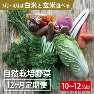 BI-10 12ヵ月定期便「自然栽培野菜」10～12品目（3月4月は白米または玄米5kg）