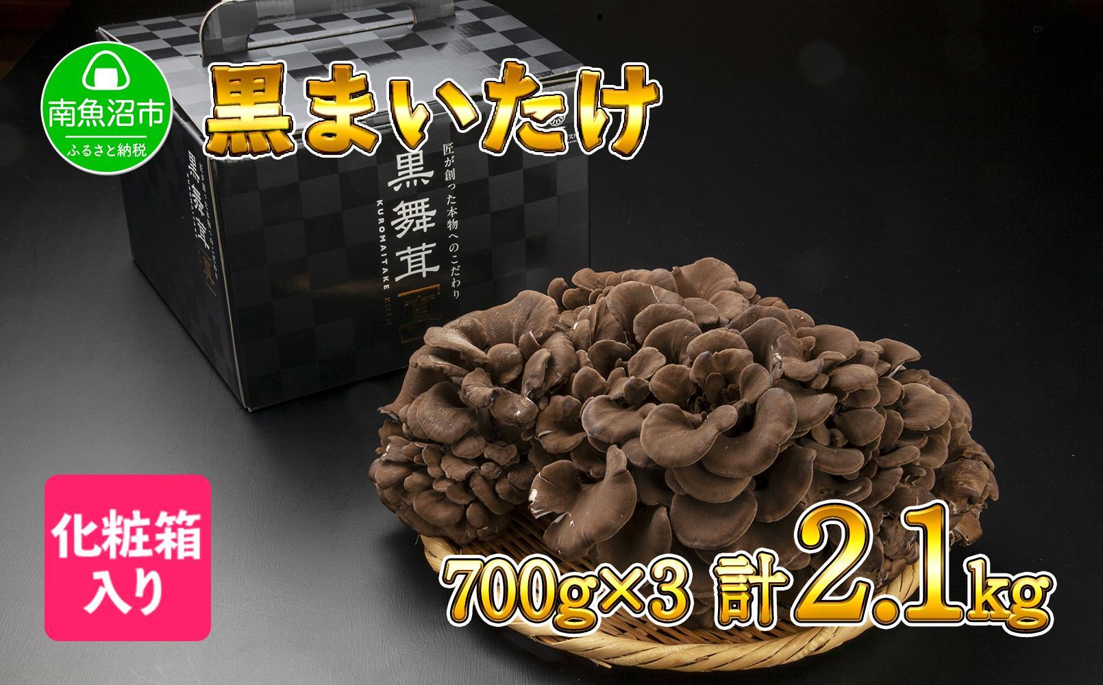 新潟県 南魚沼産 厳選 国産 黒 高級 舞茸 まいたけ 産地直送 700g ×3箱 計2.1kg