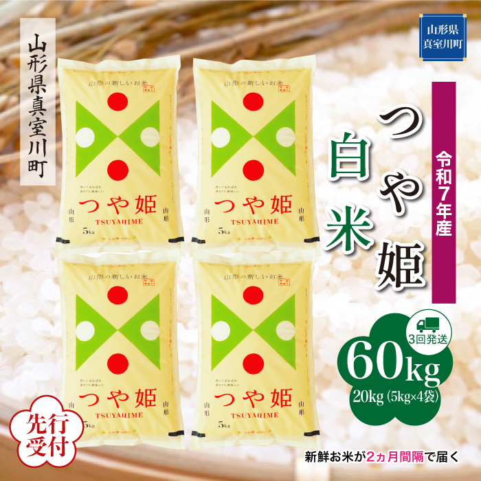 ＜令和7年産米先行受付＞ 真室川町産 特別栽培米 つや姫 【白米】60kg定期便(20kg×3回)　配送時期指定できます！