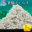 【ふるさと納税】 しらす 釜揚げしらす 100g × 10袋 計 1kg 時栄水産 釜揚げ 冷凍 小分け 魚 さかな sirasu ちりめん じゃこ 鰯 いわし しらす丼 海鮮丼 ご飯 おつまみ 加工品 ふりかけ 海の幸 魚介 産地直送 数量限定 国産 愛媛 愛媛県産 宇和島 D010-174001