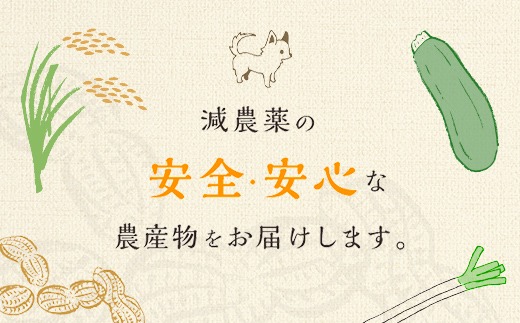 【先行受付・9月上旬より順次発送！】Qナッツ 生落花生 1.5kg SMAH014