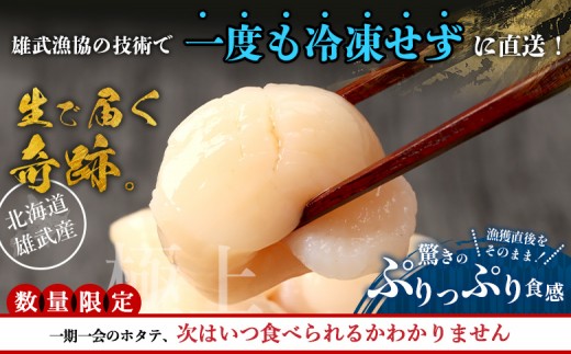 【関東限定！生ほたて】《期間限定》北海道雄武産 生玉ほたて300g 塩水パック(冷蔵)