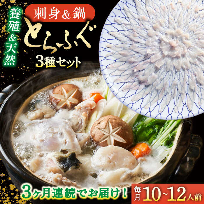 【ふるさと納税】【2026年2月〜初回発送】【3回定期便】南島原ふぐ三昧プレミアム 10人〜12人前 / ふぐ フグ 河豚 トラフグ ふぐ刺し / 南島原市 / 大和庵[SCJ033]