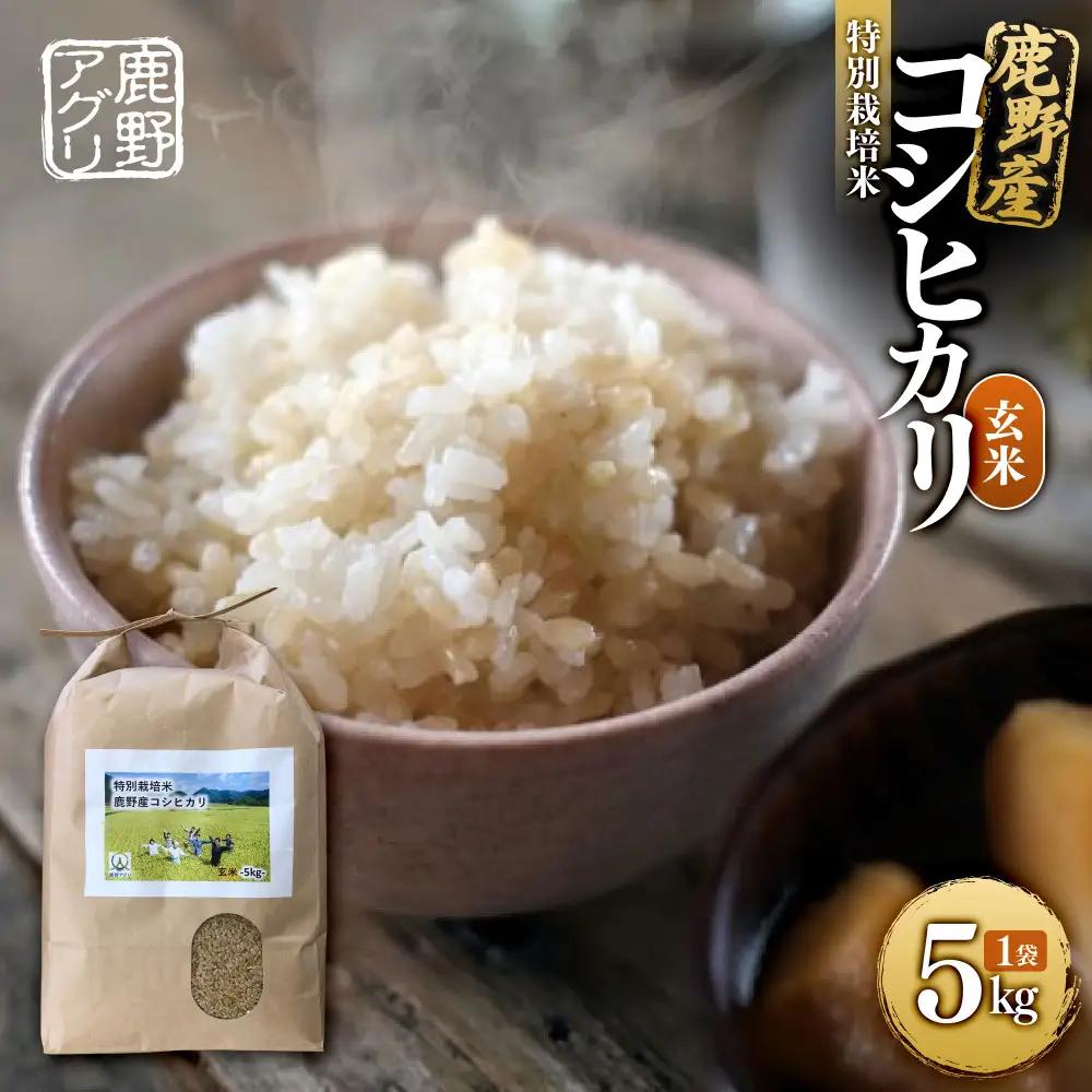 特別栽培米鹿野産コシヒカリ玄米5kg (5kgx1袋)＊北海道・沖縄・離島への配送不可＊