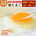 【ふるさと納税】 定期便 3回 久住高原 平飼いたまご 箱たまご 10kg×3ヶ月 合計30kg 480～540個 箱 卵 たまご タマゴ 玉子 生卵 鶏卵 大分県産 九州産 冷蔵 送料無料