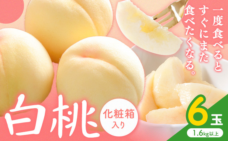 
            桃 岡山の桃【2026年先行予約】白桃 6玉(1.6kg以上) 株式会社山博 (中本青果)《2026年7月上旬-8月上旬頃出荷》岡山県 浅口市 桃 もも フルーツ 旬 果物 国産 岡山県産 送料無料 冷蔵 化粧箱【配送不可地域あり】
          