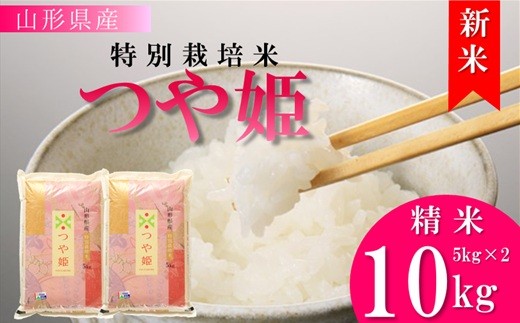 【令和8年産・精米】竹原田ファームの特別栽培米つや姫10kg（5kg×2袋）　※10月中旬頃から順次配送