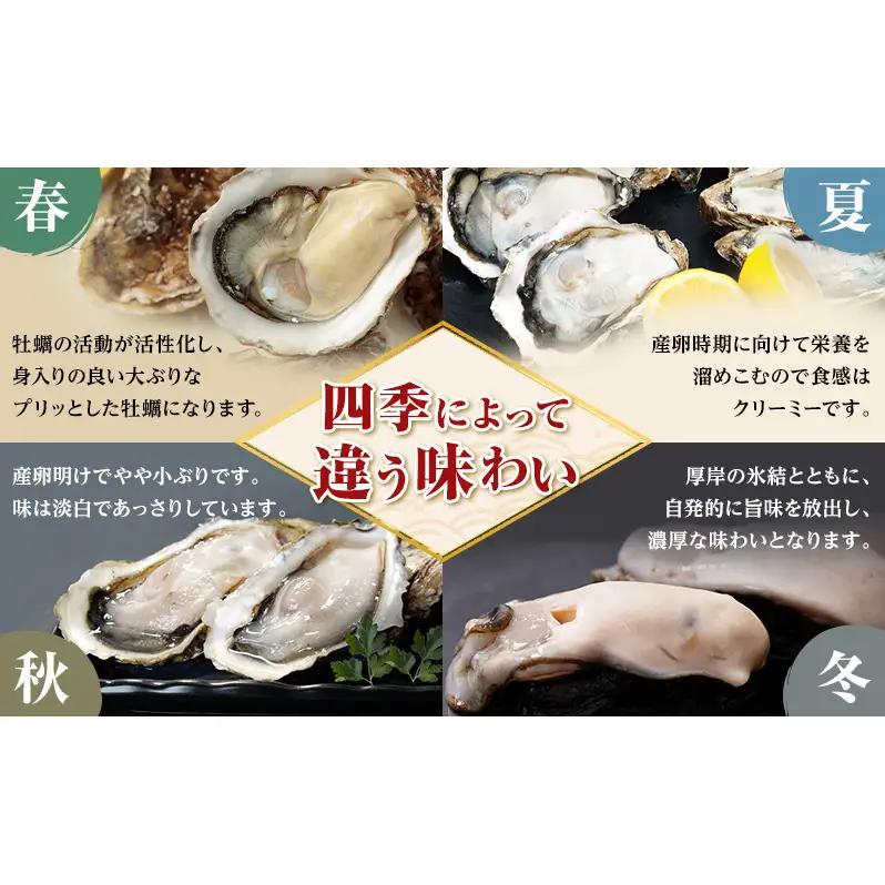 11月～3月 定期便 訳あり ハーフ 規格外 牡蠣 北海道厚岸産 殻付カキ 約2kg（11～25個）カキナイフ付 生食 魚貝類 生牡蠣 かき 生カキ カキフライ マルえもん いびつな形 四季によって違