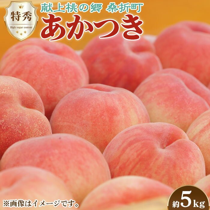【ふるさと納税】No.099 もも（あかつき）特秀　約5kg「献上桃の郷」ブランド品 ／ フルーツ 果物 送料無料 福島県 特産品 期間限定の先行予約となる訳あり返礼品