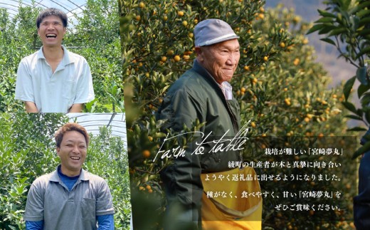 【先行予約】種なし きんかん「宮崎夢丸」 1kg 数量限定 種無し 果物 フルーツ くだもの 柑橘 金柑 プレミア おすすめ ギフト 贈り物 贈答 おやつ スイーツ デザート 糖度が高い 常温 産地直