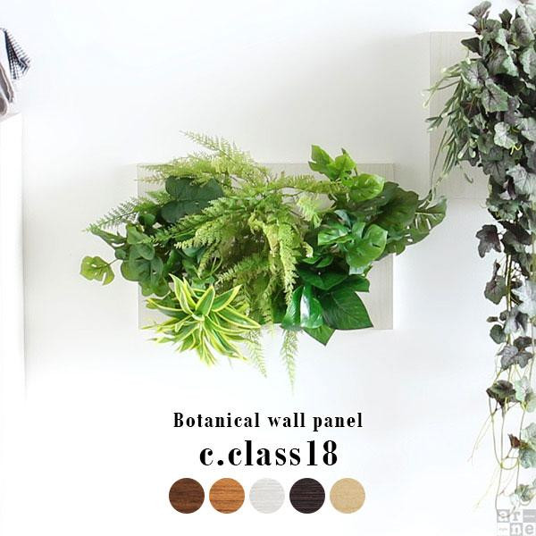 
Botanical c.class 18
