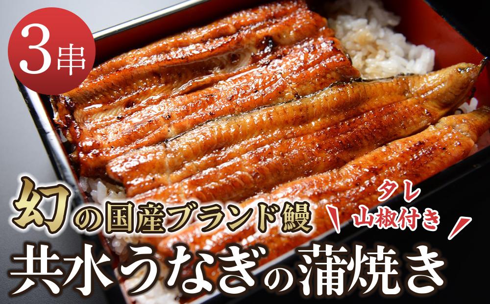 幻の国産ブランド鰻　共水うなぎのかば焼き　3串（約115g×3）タレ・山椒付き　極上の甘みとうまみ、ふっくらとした食感【鰻 魚介類 水産 食品 人気 おすすめ 送料無料】