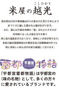 【12ヶ月定期便】栃木県産コシヒカリ 「米屋の越光」5kg×12ヶ月